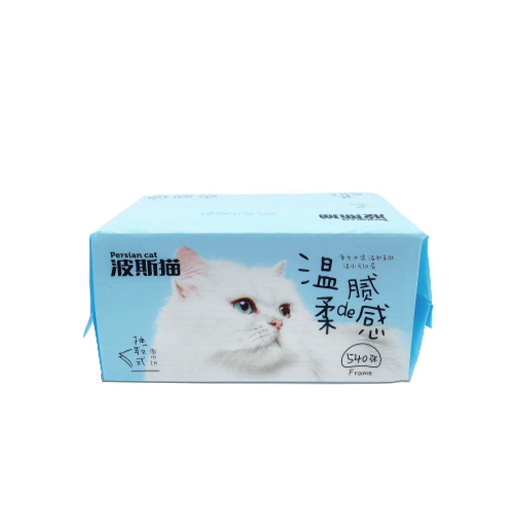 OEM Facial Tissue With Competitive Price Wholesale Factory Direct White Facial Tissue For Daily Use